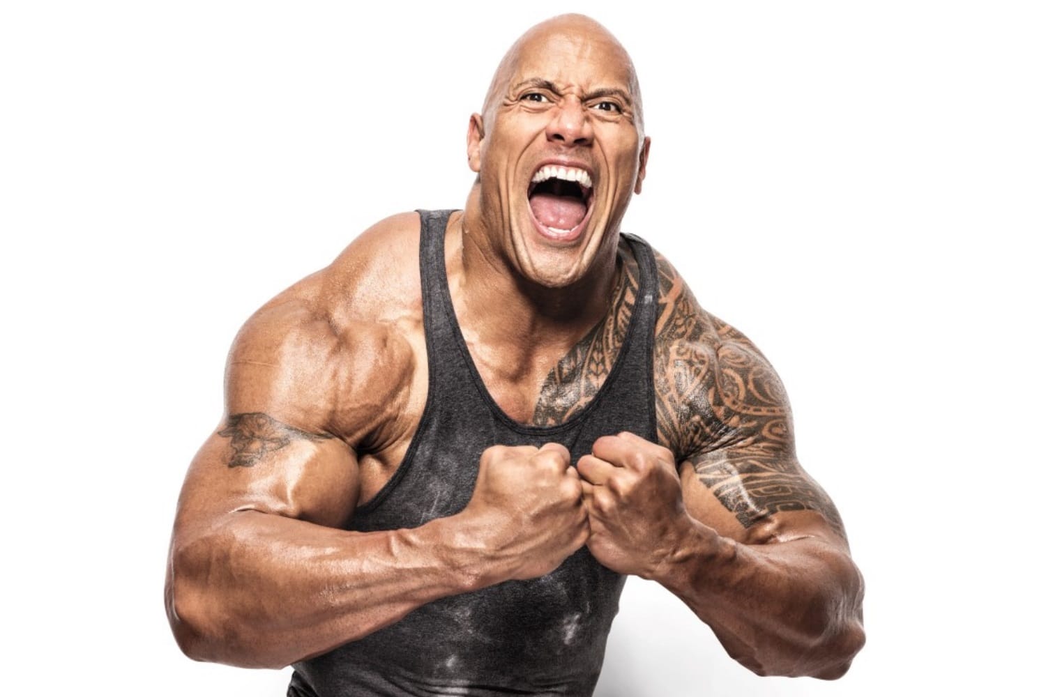 The Rock Dwayne Johnson - eWrestlingNews.com