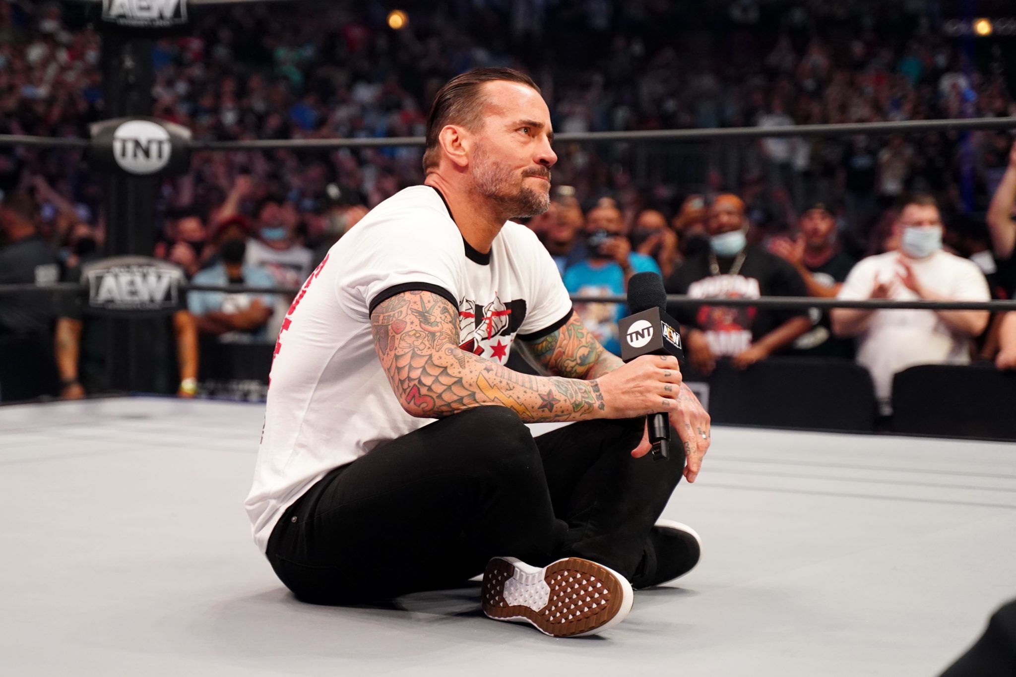 upper deck aew cm punk